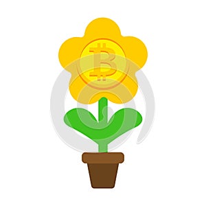 Bitcoin plant in pot. Cryptocurrency flower
