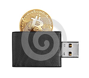 Bitcoin in a purse with USB connector