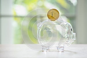 Bitcoin savings concept, piggy bank