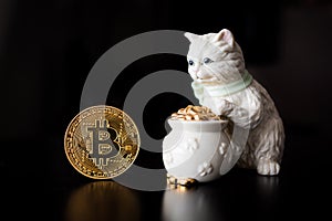 Bitcoin single coin with a cat