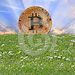 Bitcoin sunrise