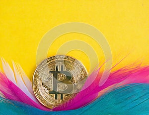 Bitcoins, banner with space for text