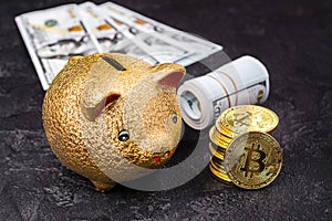 Bitcoins, currency and piggie bank photo