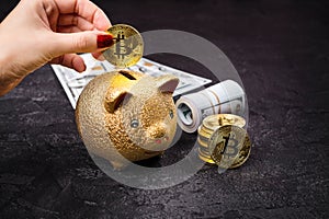 Bitcoins, currency and piggie bank photo