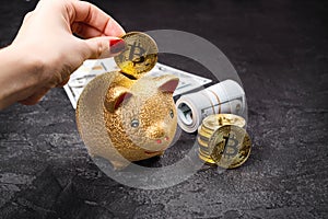 Bitcoins, currency and piggie bank photo