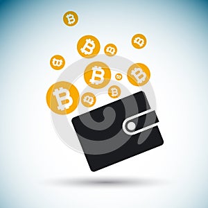 Bitcoins falling out from wallet