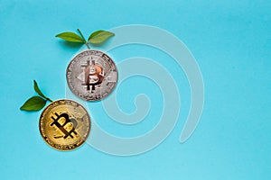 Bitcoins with leafs on blue background