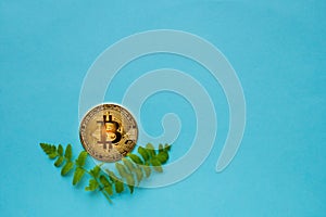 Bitcoins with leafs on blue background