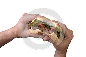 Bite of a hamburger