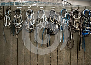 Bits and Bridles Hang on Wall