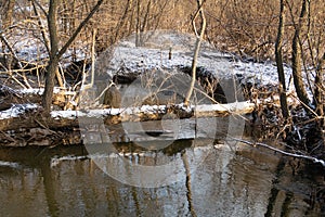 Bitsa river in the Moscow region, first snow, water surface, reflection