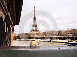 Bitten apple core left on Paris bridge