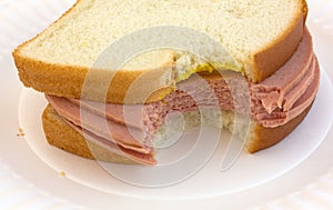 Bitten bologna sandwich on paper plate photo