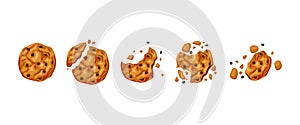 Bitten chocolate chip cookies. Baked round cookies with chocolate chips bite animation set. Cartoon vector illustration.