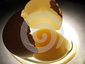 A bitten egg