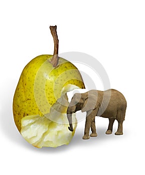 Bitten off green pear and elephant isloated on white background.