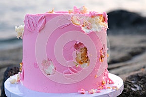 a bitten pink cake on stones by the ocean or the sea to celebrate in nature the mice ate the children pecked with their photo