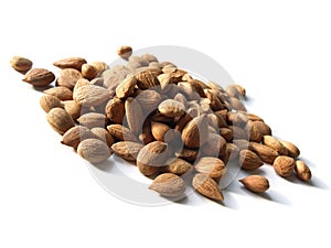 Bitter apricot kernels