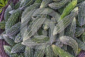 Bitter gourd also called Karela in Hindi, is a highly nutritious vegetable.