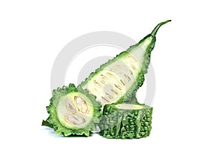 Bitter gourd or Bitter melon or Momordica charantia isolated on white background