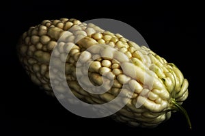 Bitter gourd , momordica charantia, balsam pear