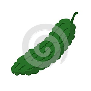 Bitter gourd or pare vegetable, peria or paria vegetable, flat design illustration