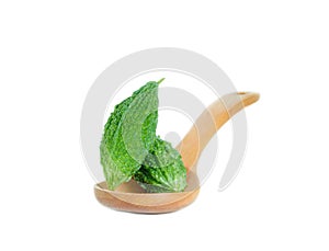 Bitter gourd pile in Wooden spoon on white background. vegetable herb Nourish the health body