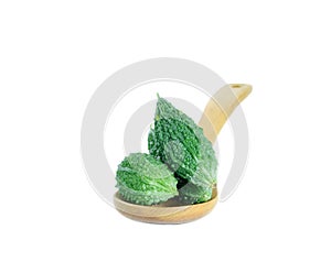 Bitter gourd pile in Wooden spoon on white background. vegetable herb Nourish the health body