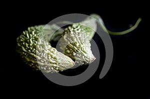 Bitter gourd vegetables on a plain black background