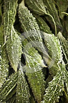 Bitter Karela Gourds On Display