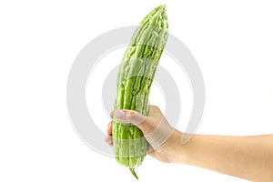 Bitter melon or slice bitter gourd with clipping path.