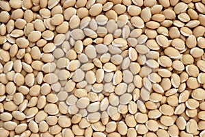 Bitter neavy beans background