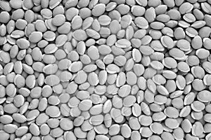 Bitter neavy beans background