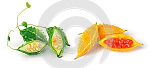 Bittermelon isolated on white background