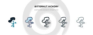 Bitternut hickory tree icon in different style vector illustration. two colored and black bitternut hickory tree vector icons