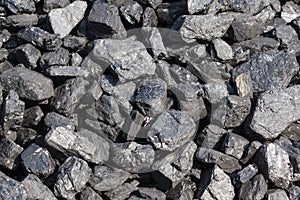 Bituminous Coal photo