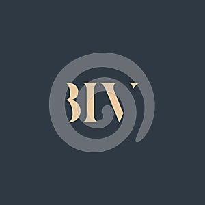 BIV abstract letter logo
