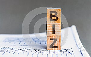 Biz - isolated text in wooden building blocks