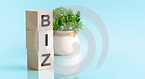 Biz - text in wooden building blocks, blu backgrounds