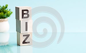 Biz - text in wooden building blocks, blu backgrounds