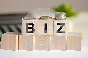 Biz - text in wooden building blocks, calculator and coins backgrounds