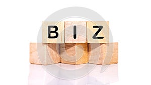 BIZ text on wooden cubes on a light background. Conceptual photo