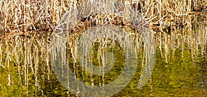 Wild landscape at Bizard Island photo