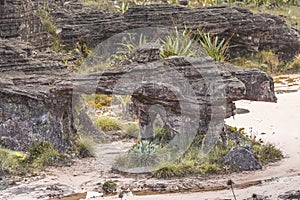 Bizarre ancient rocks of the plateau Roraima tepui - Venezuela,