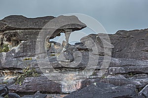 Bizarre ancient rocks of the plateau Roraima tepui - Venezuela,