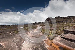 Bizarre ancient rocks of the plateau Roraima tepui - Venezuela, Latin America photo