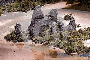 Bizarre ancient rocks of the plateau Roraima tepui - Venezuela, Latin America photo