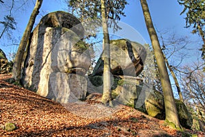 Bizarre boulders in the woods in the Bohemian Paradise