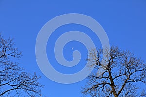 Crescent on blue sky