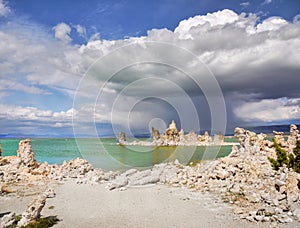 Bizarre Landscape, Mono Lake, California